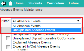 synweb_attendances_05.png